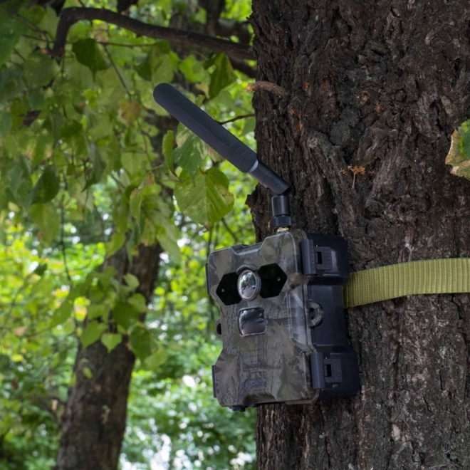 Napelemes vadkamera Technaxx 4G Wildcam