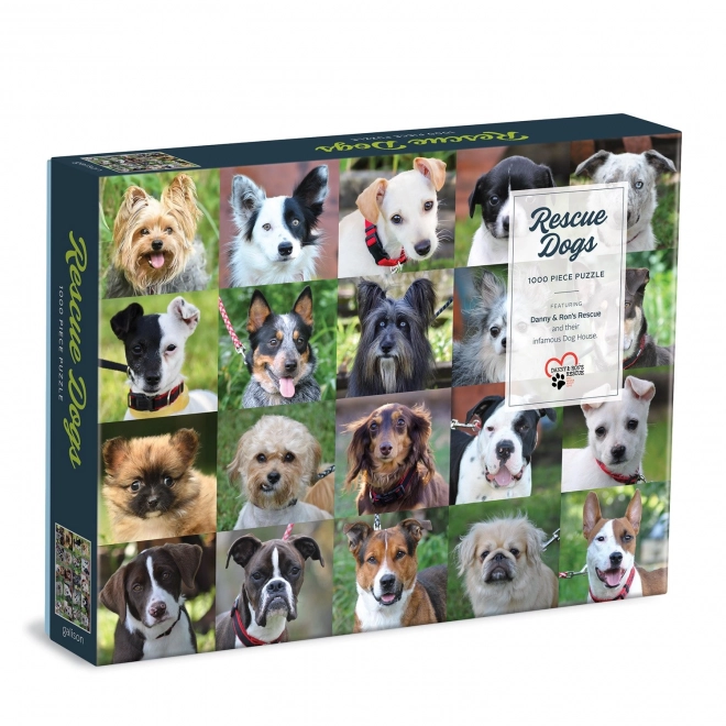 Galison Puzzle Mentett kutyák 1000 darabos
