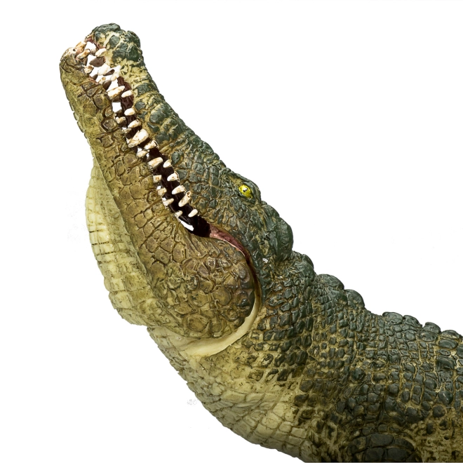 Mozgatható állkapocs