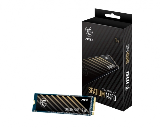 Gyors SPATIUM SSD M450 1TB