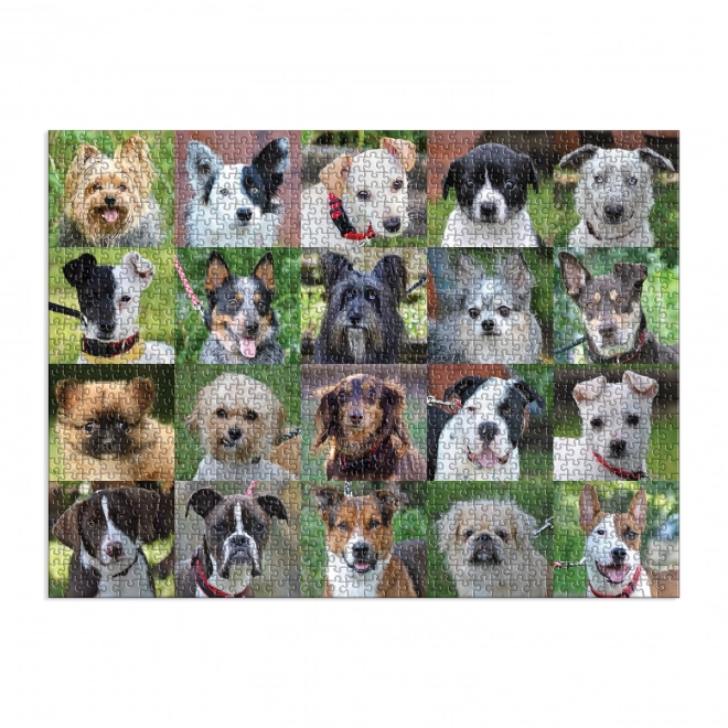 Galison Puzzle Mentett kutyák 1000 darabos