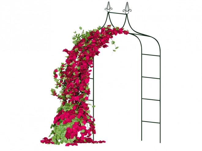 Kerti pergola