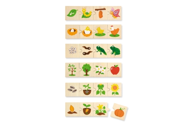 VIGA fa puzzle növekvő állatok és növények