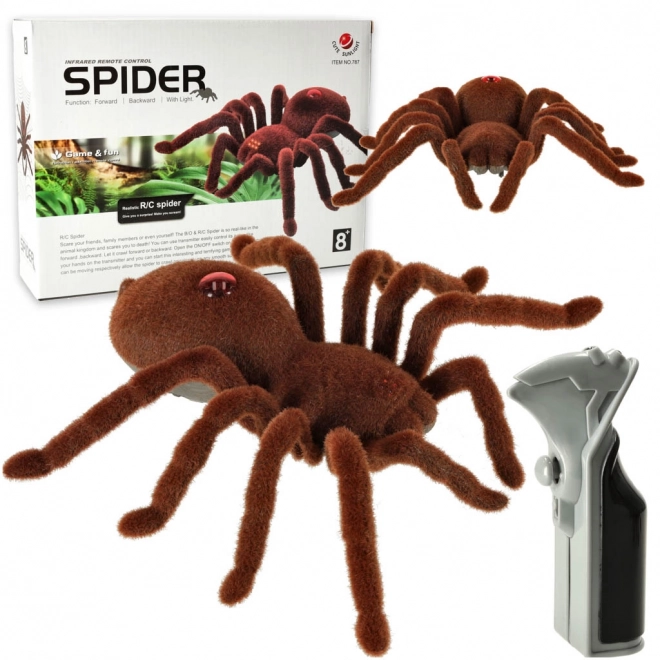 Távirányítós tarantula pók