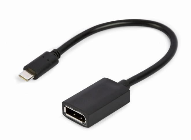 USB-C DisplayPort adapter 4K 15 cm