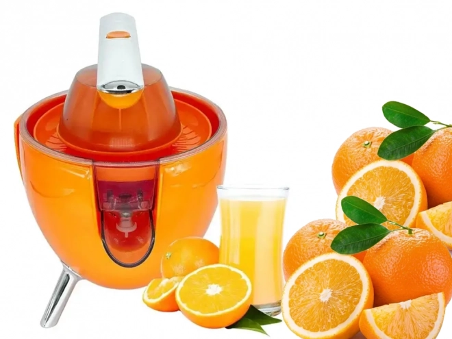 Elektromos citrusprés