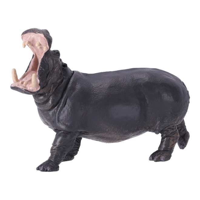 Oktatás és gyűjtés