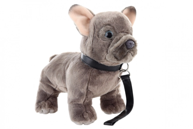 Francia bulldog plüss pórázzal 23 cm