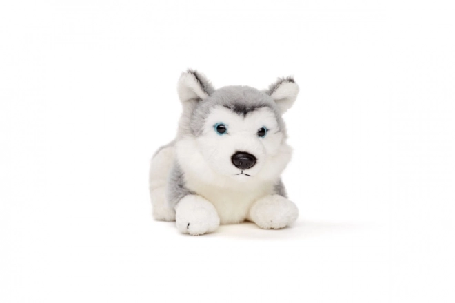 Plüss Husky kutya 15 cm