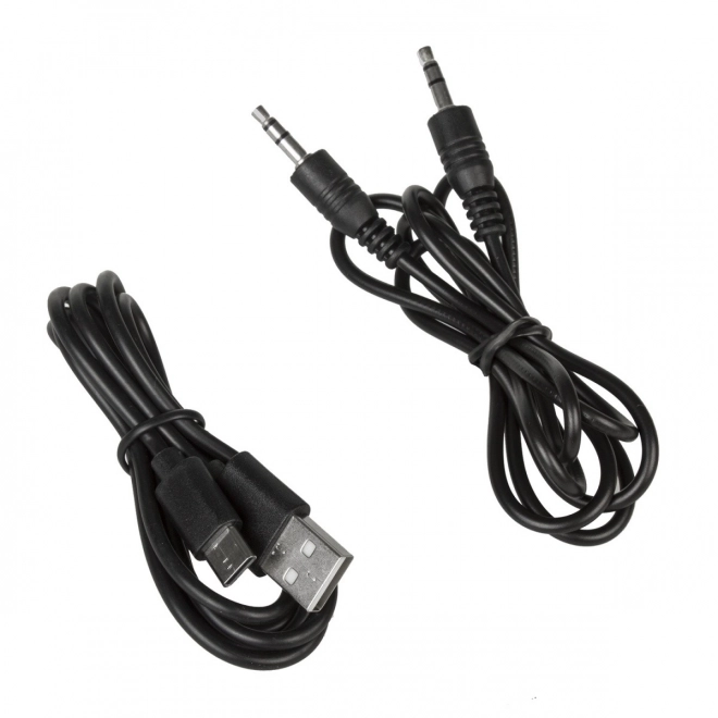 Bluetooth hangszóró rádióval és USB-vel Audiocore