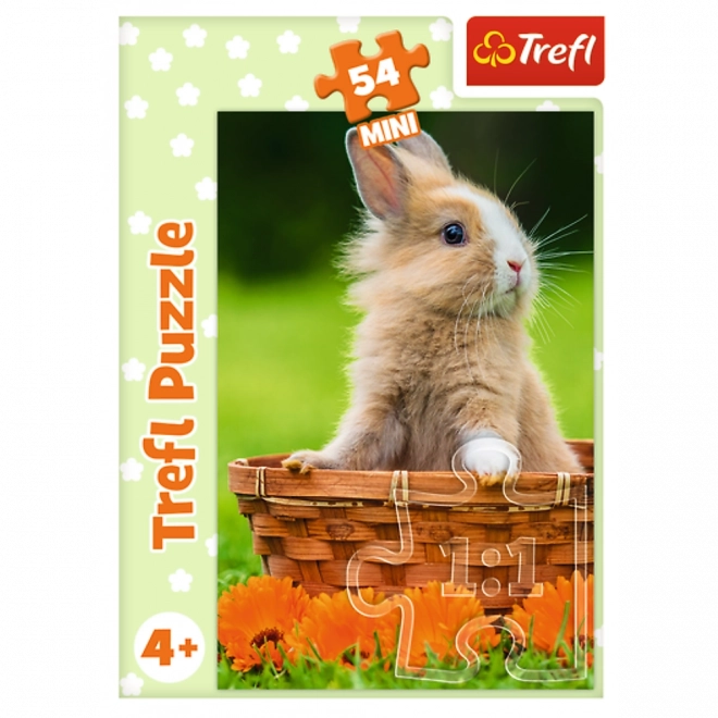 Állatkölykök minipuzzle 54 darabos készlet
