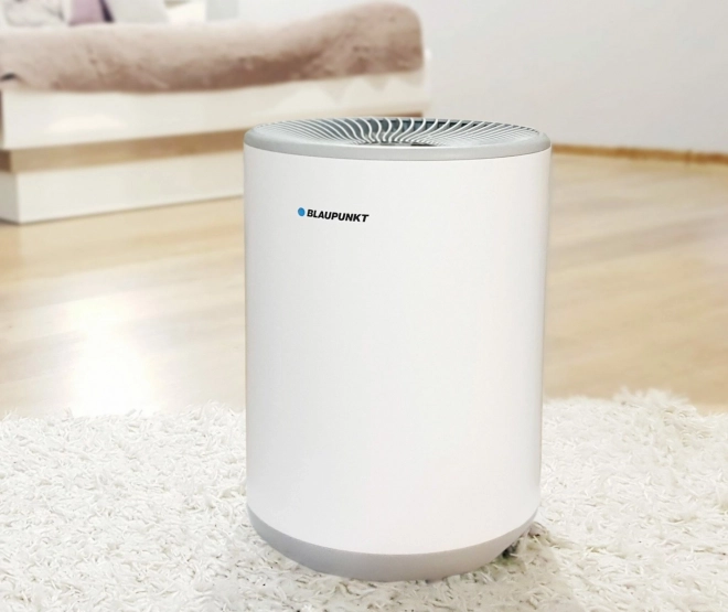 Blaupunkt Ewaporációs Légpárásító