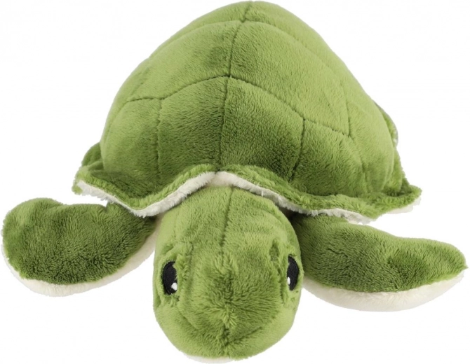 Kompakt méret otthonra és útra