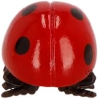 Realista részletek és fényes felület