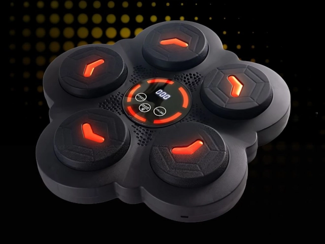 Boksz pajzs Bluetooth zenével és kesztyűkkel