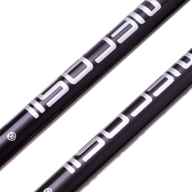 Nordic walking botok fekete