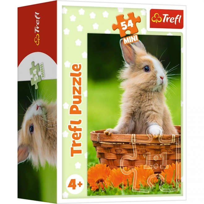 Állatkölykök minipuzzle 54 darabos készlet