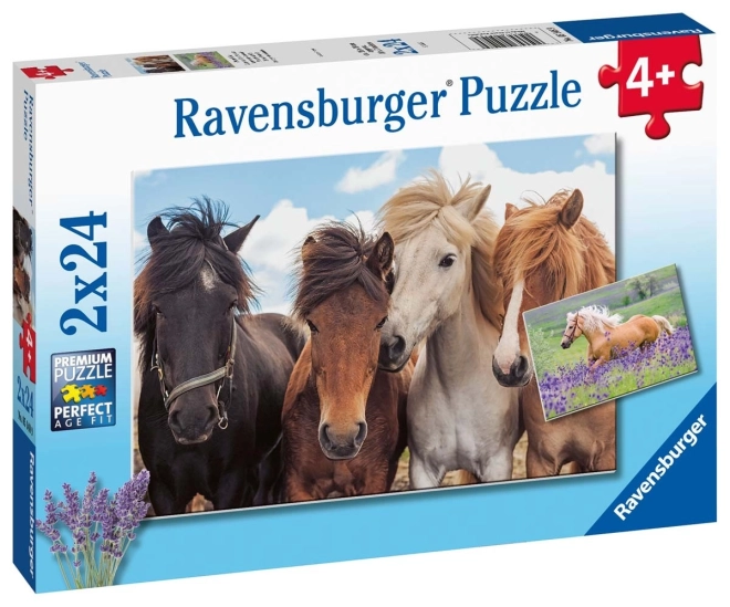 Ravensburger lovas puzzle 2x24 darabos