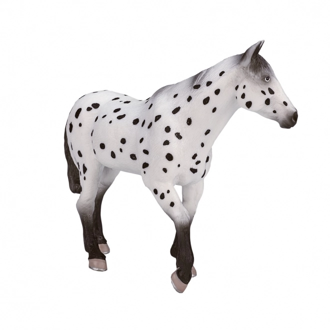 Mojo appaloosa mén