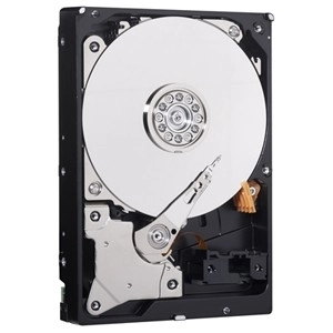 Western Digital Blue 1TB merevlemez