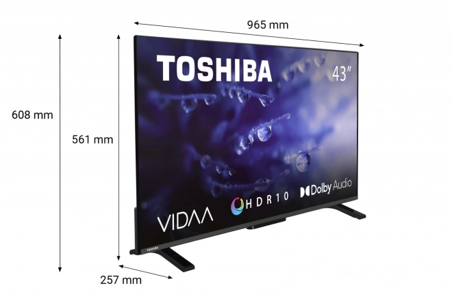 43 hüvelykes LED TV 43LV2E63DG