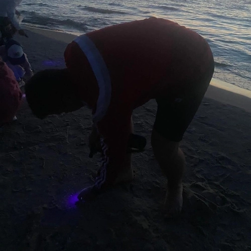 Trizand LED zseblámpa UV fénnyel