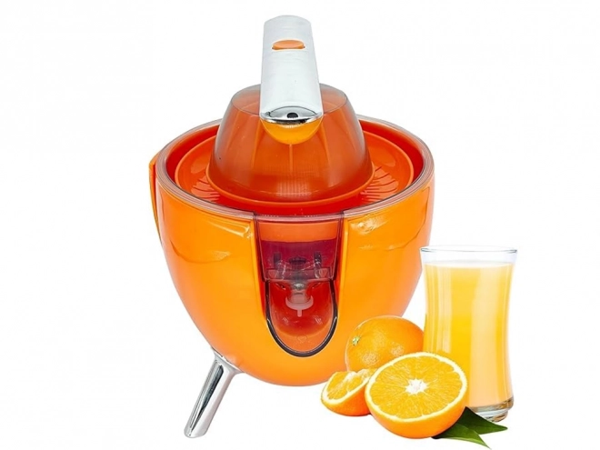 Elektromos citrusprés