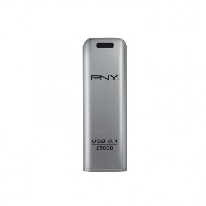 256GB USB 3.1 Elite Steel pendrive