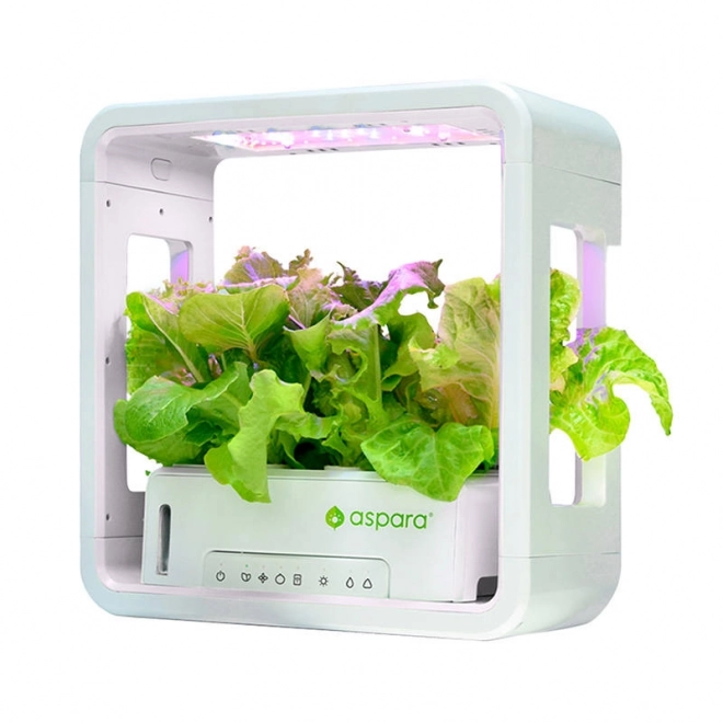 Intelligens virágtartó Aspara Stylist Lite Smart Grower