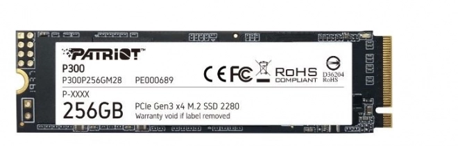 P300 M.2 PCIe SSD