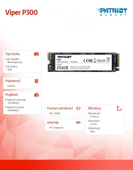 P300 M.2 PCIe SSD