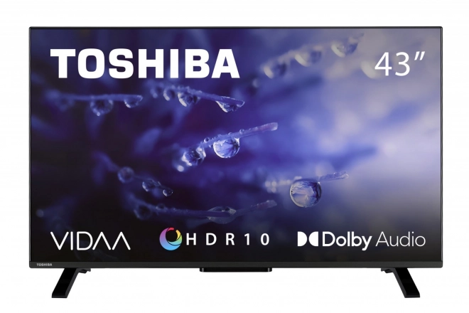 43 hüvelykes LED TV 43LV2E63DG