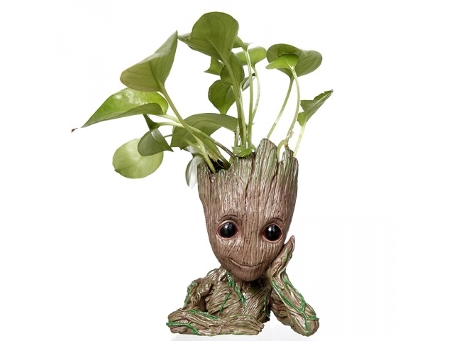 Groot virágcserép