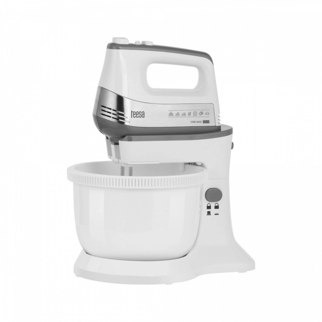 Teesa kézi mixer forgótállal