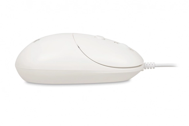IBox Seagull elegáns egér