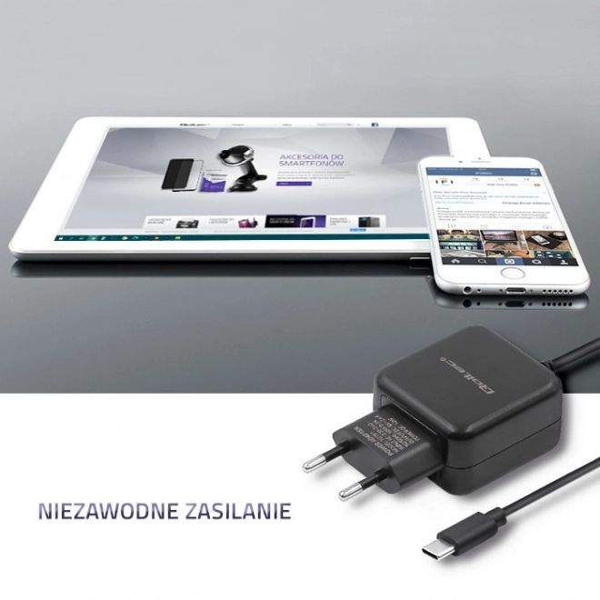 Fekete Hálózati Töltő USB-C 5V 2.4A 12W