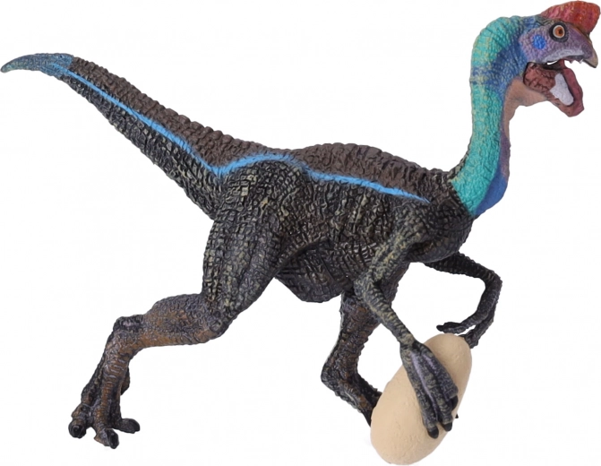 Ideális tanuláshoz és gyűjteménybe is