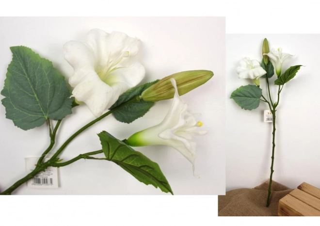 Gumi virág Datura fehér 69 cm