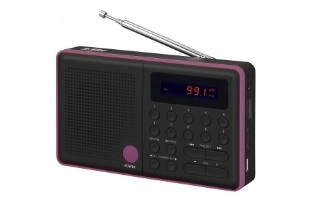 Radio Pliszka USB FM fekete