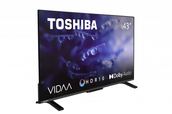 43 hüvelykes LED TV 43LV2E63DG