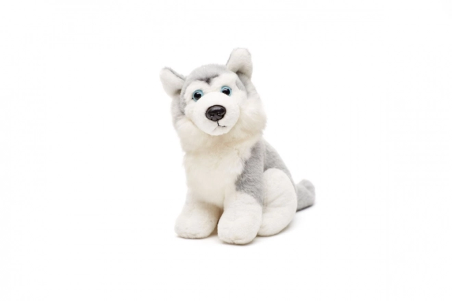 Plüss Husky kutya 15 cm