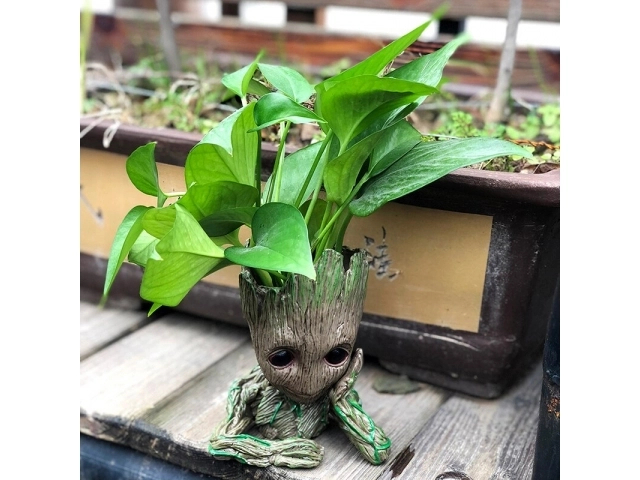 Groot virágcserép