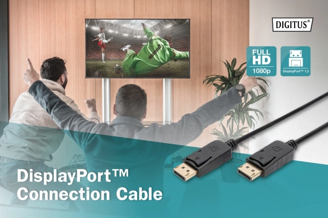 DisplayPort csatlakozókábel 1080p 60Hz FHD