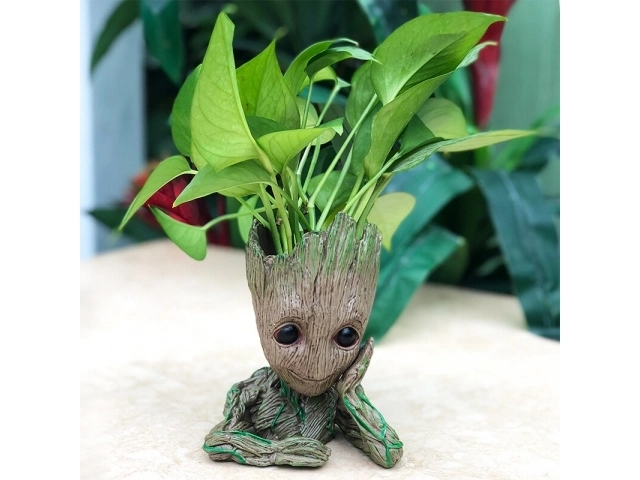 Groot virágcserép