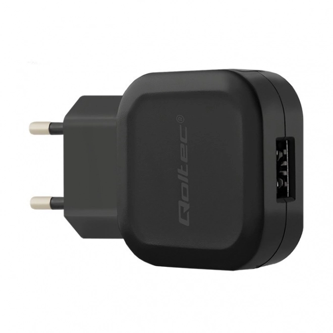 Hálózati töltő 12W USB kábel TÍP C típusú