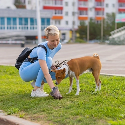 Egyszer használatos higiéniai alátét és kutyapiszok zacskók készlet