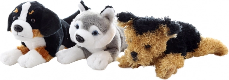 Születéstől biztonságos (0+)