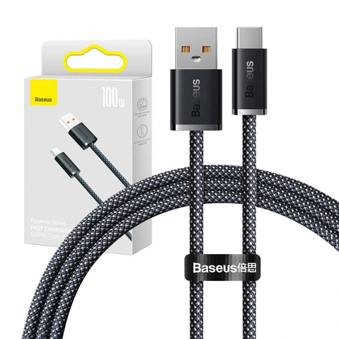 Usb-c kábel 100w Baseus Dynamic szürke