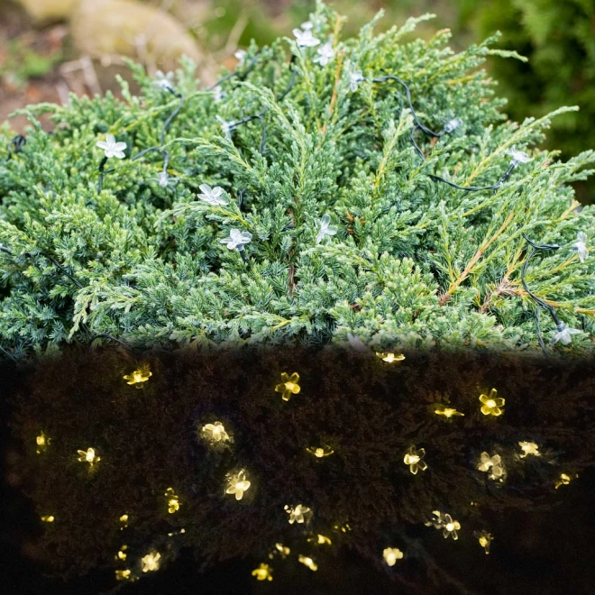 Kerti napelemes virágfények 7m 50 LED meleg fehér