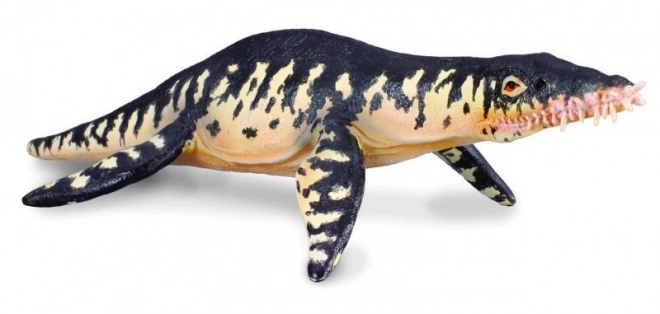 Collecta liopleurodon figura